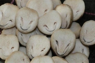 ManBetX体育