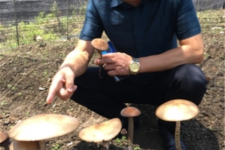 ManBetX体育