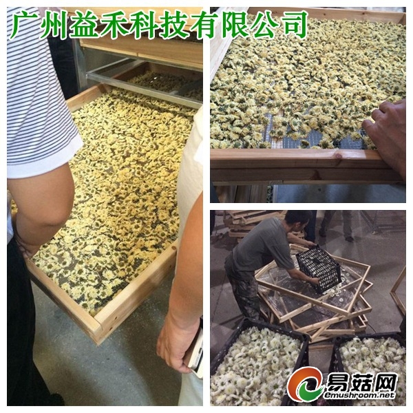 ManBetX体育