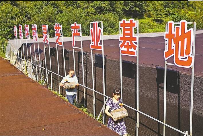 ManBetX体育