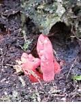 ManBetX体育