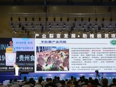 ManBetX体育