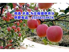 ManBetX体育