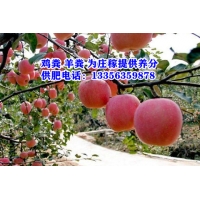 ManBetX体育