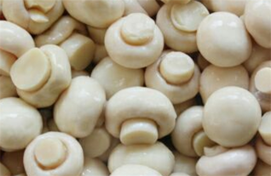 ManBetX体育