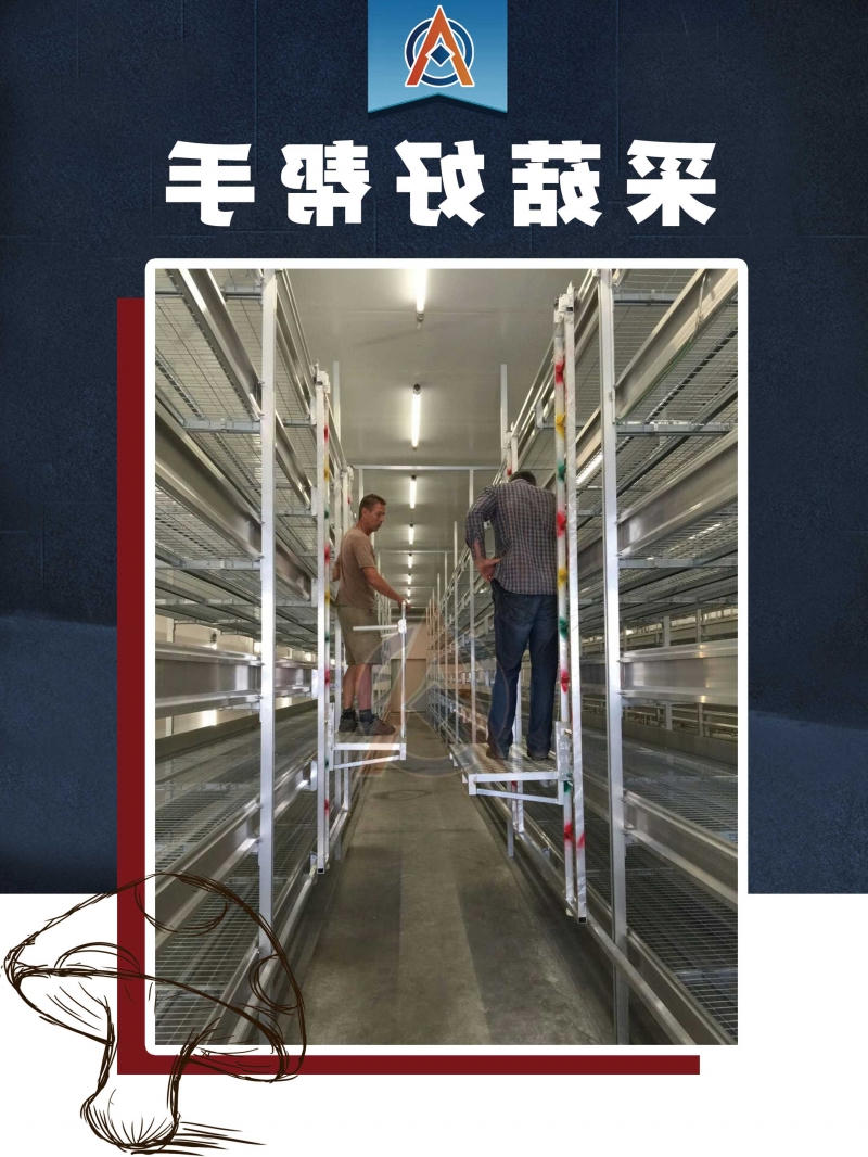 食用菌1