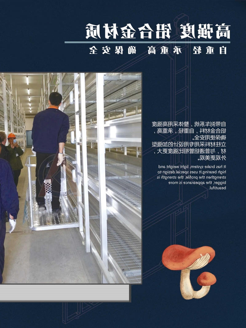 食用菌-2