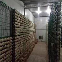 食用菌网架a济南食用菌网架a食用菌网架厂家现货