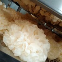 国家有机认证 雪菲宠耳干银耳 无公害无本色
