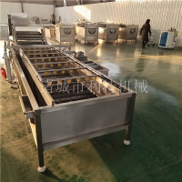 叶菜全自动清洗机 蔬菜清洗机械设备 卷心菜高压水清洗机