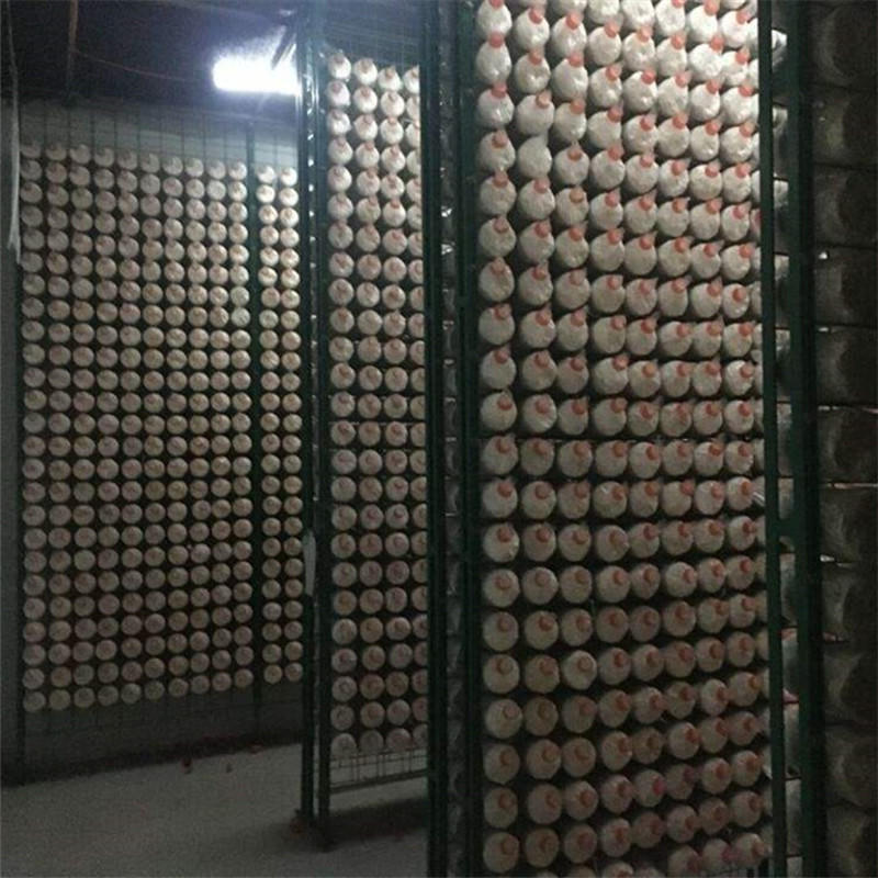 食用菌出菇架1