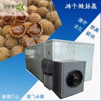 龙眼荔枝烘干机规格齐全 茂名荔枝烘干机现货供应