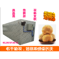 黄秋葵烘干机 连续式蔬菜加工设备