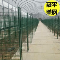 香菇出菇架香菇出菇架子