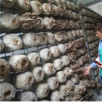 食用菌网架网格a镇江食用菌网架网格a食用菌网架网格生产厂家