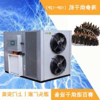 环保卫生的海参冷风烘干房 低温海参烘干机除湿机