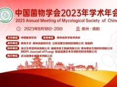 Manbetx体育手机版V17版本发布.官网安卓网.香港2023年学术年会