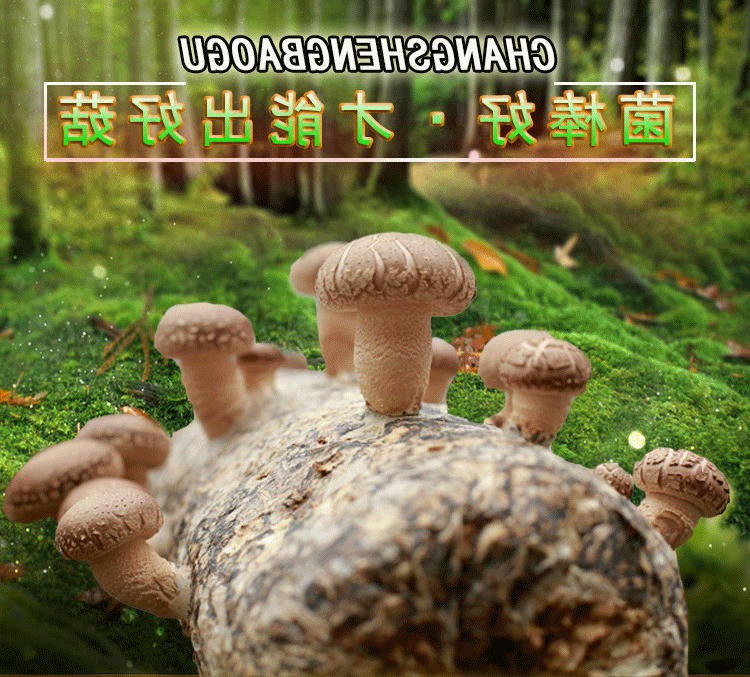 1_副本