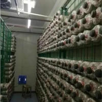 食用菌网格网架a宁夏食用菌网格网架a食用菌网格网架现货厂家