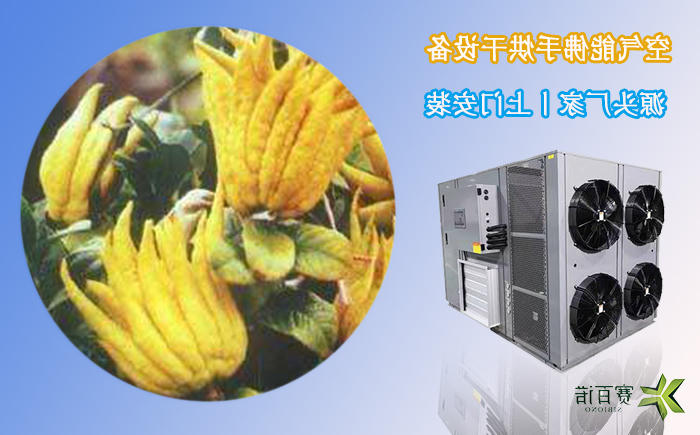 广西佛手烘干设备