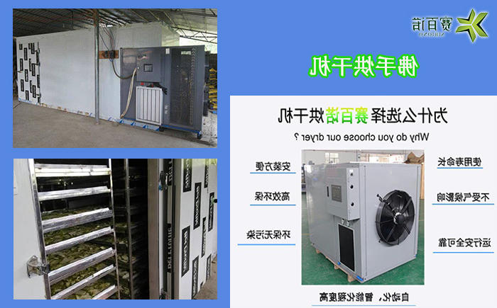 广东佛手烘干机
