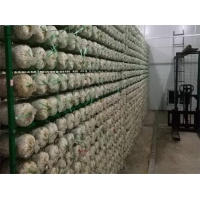 食用菌网架网格a上海食用菌网架网格a食用菌网架网格生产厂家