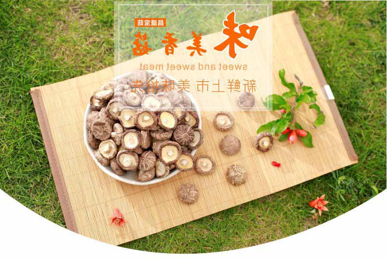干菇详切片_01
