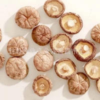 干香菇 河南昌盛干香菇批发价格厂家直销
