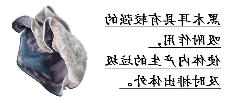未标题-6