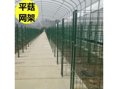 ManBetX体育
