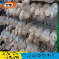 ManBetX体育