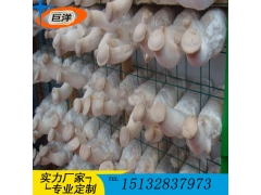 ManBetX体育