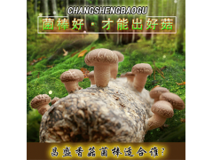 ManBetX体育