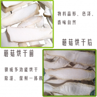 ManBetX体育