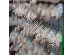 ManBetX体育