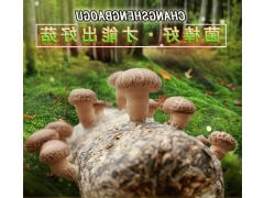 ManBetX体育
