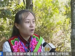 ManBetX体育