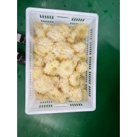 ManBetX体育