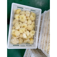 ManBetX体育