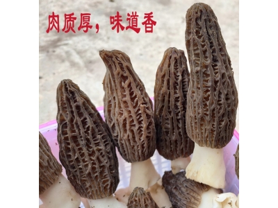 ManBetX体育