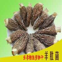 ManBetX体育