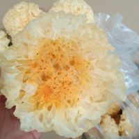 ManBetX体育