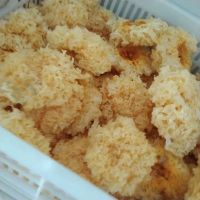 ManBetX体育