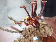 ManBetX体育