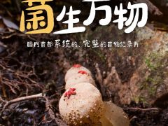 ManBetX体育