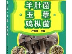 ManBetX体育