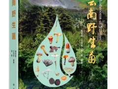 ManBetX体育