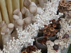 ManBetX体育