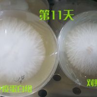 ManBetX体育