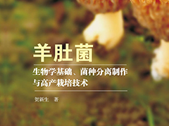 ManBetX体育